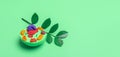 Model of plant cell on green background. Green world and education concept Royalty Free Stock Photo