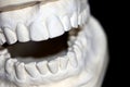 Model of plaster cast from above and lower teeth of human Royalty Free Stock Photo