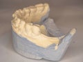 Model of plaster cast of lower teeth Royalty Free Stock Photo