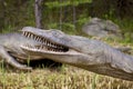 A model of a prehistoric dinosaur made available to visitors to a Jurassic park to learn about the history.