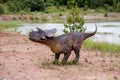 A model of a prehistoric dinosaur made available to visitors to a Jurassic park to learn about the history.