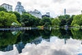 Model Sailboats on the Conservatory Water in Central Park