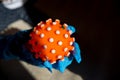 Red bright spiny ball isolated on dark background. Toy, close-up. Coronavirus model.model of the SARS-CoV-2 virus ,toy Royalty Free Stock Photo