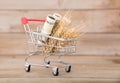 A shopping cart full of ripe wheat ears and a row of growing euro coins Royalty Free Stock Photo