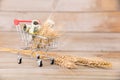 A shopping cart full of ripe wheat ears and a row of growing euro coins Royalty Free Stock Photo