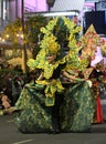 Model Shows Traditional Clothing Evening Flower Parade Festival