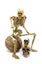 Model skeleton sitting on ball