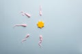 Model of sperm and ovum on a blue background. Medical flatlay concept egg fertilization Royalty Free Stock Photo