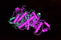 Model structure of the protein molecule.