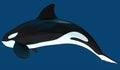 A model of a stylized killer whale. 3D illustration. Royalty Free Stock Photo