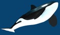 A model of a stylized killer whale. 3D illustration. Royalty Free Stock Photo