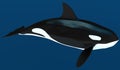 A model of a stylized killer whale. 3D illustration. Royalty Free Stock Photo