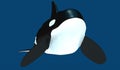 A model of a stylized killer whale. 3D illustration. Royalty Free Stock Photo