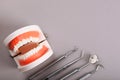 model of teeth and dental instruments and dental care products Royalty Free Stock Photo