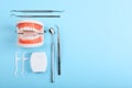 model of teeth and dental instruments and dental care products Royalty Free Stock Photo