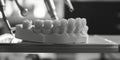 A model tooth displayed on a table. Perfect for dental and oral health-related projects Royalty Free Stock Photo