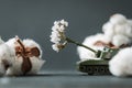 Model toy of battle tank firing cotton flowers from the barrel. Trendy Ukrainian banter about russian propaganda.