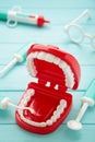 Model toys teeth with dentist instrument on blue background