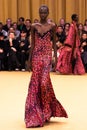 A model walks the runway at the Roberto Cavalli fashion show during the Milan Fashion Week