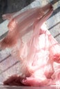 Pink swan dress, frozen moment