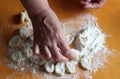 Modeling of homemade dumplings with grandmother`s hands