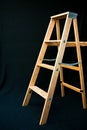 Modeling ladder