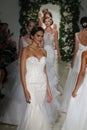 Models walk the runway finale at the Anne Barge Fall 2014 Bridal collection show Royalty Free Stock Photo