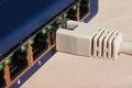 Modem router switch with RJ45 ethernet plug ports Royalty Free Stock Photo