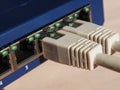 Modem router switch with RJ45 ethernet plug ports Royalty Free Stock Photo