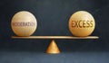 Moderation and Excess in balance - a metaphor showing the importance of two aspects of life staying in equilibrium to create a