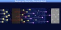 Moderator and Absorber of Neutronsradiation