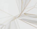 Modern abstract geometric background with intersecting thin gold lines overlaying a white marble texture with subtle grey veins Royalty Free Stock Photo