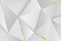 Modern abstract light silver background vector. Elegant concept design with Geometric triangles with golden lines. Suitable as Royalty Free Stock Photo