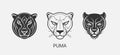 Modern abstract Puma or Jaguar head vector logo template. Line art wildcat logotype