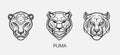 Modern abstract Puma or Jaguar head vector logo template. Line art wildcat logotype