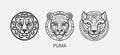 Modern abstract Puma or Jaguar head vector logo template. Line art wildcat logotype