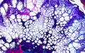 Modern abstract texture with fluid pouring foamy bubbles.