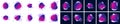 Modern abstract vector banner set. Flat geometric liquid Purple color Background. Modern vector template; Template for the design Royalty Free Stock Photo