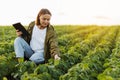 Modern agribusiness. Female farmer with digital tablet examines and checkins green leaves of soybeans plants at field