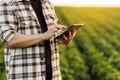 Modern agribusiness. Unrecognisable male farmer uses digital tablet for analyse, checks soybeans plantation. Smart