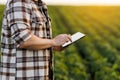 Modern agribusiness. Unrecognisable male farmer uses digital tablet for analyse, checks soybeans plantation. Smart