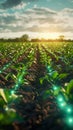 Modern agricultural technologies optimize farming practices, revolutionizing efficiency