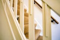 Modern american design white wooden stairs. Carpeted stairs and a wooden banister and railing are visible