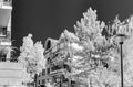 Modern apartment building in Strasbourg, infrared view, sunny da