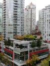 Beautiful autumn colors of rooftop garden. Vancouver, BC, Canada.