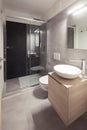 Modern apartment, luxurius toilet. Nobody inside