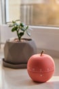 Modern apple shaped timer next to windows Royalty Free Stock Photo
