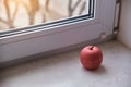 Modern apple shaped timer next to windows Royalty Free Stock Photo