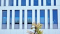 Modern architectural details. Modern glass facade with a geometric pattern Royalty Free Stock Photo