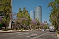 Modern architecture, parks and building in the centre of Mexico city Royalty Free Stock Photo